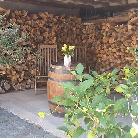 Gaestehaus Ringhof Florsheim-Dalsheim Dış mekan fotoğraf
